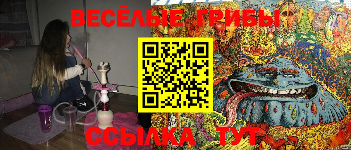 Зеленогорск  Псилоцибиновые грибы Psilocybe  Вход с VPN 